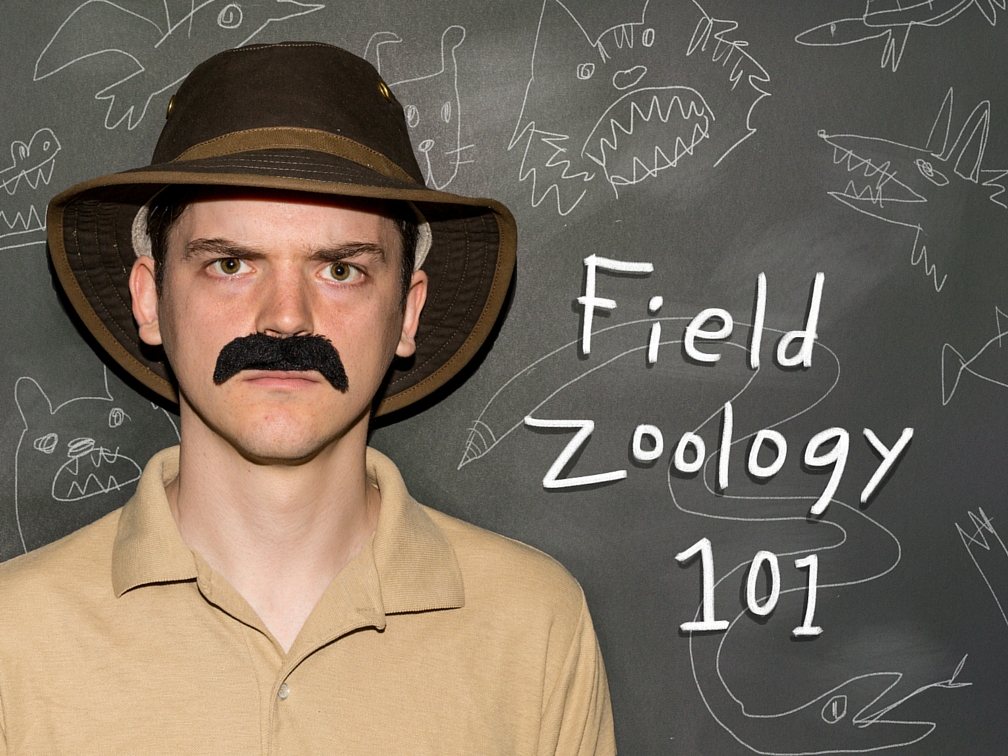 Field Zoology 101