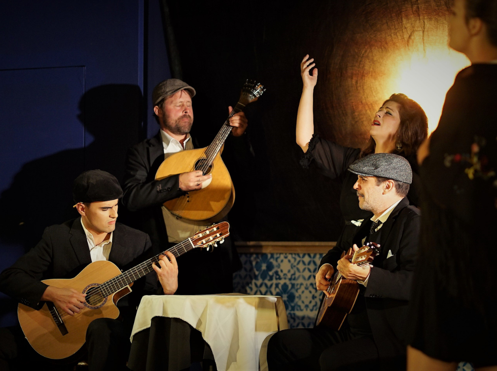 Fado - The Saddest Music in the World: In Concert