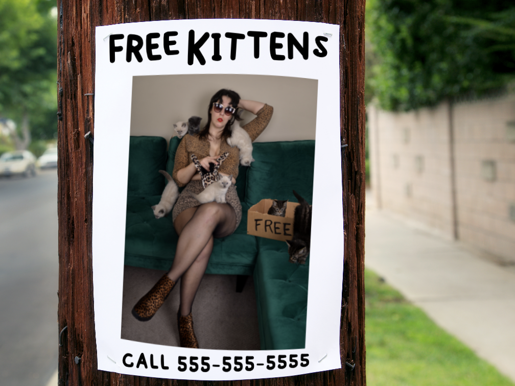 FREE KITTENS