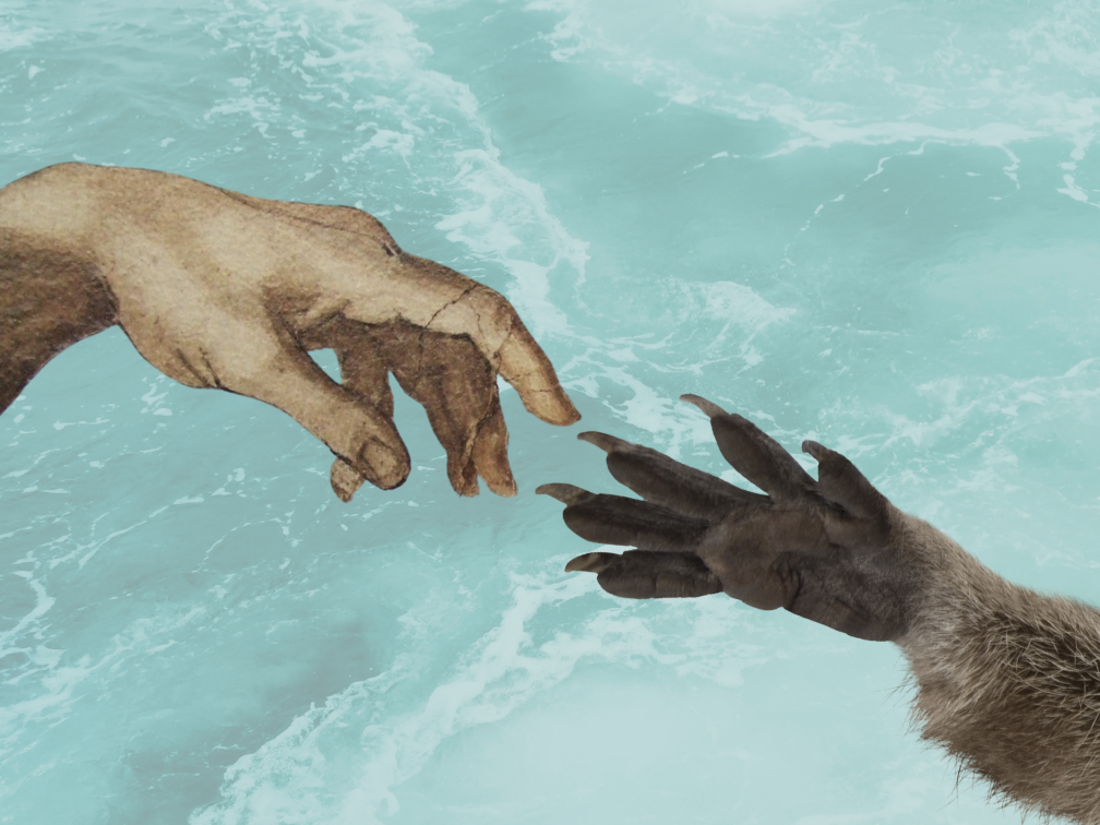 A human hand and a raccoon paw reach towards each other on a background of waves.