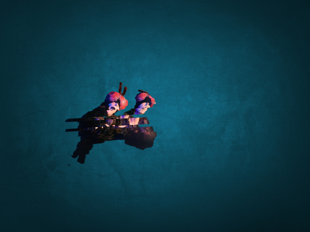 Turquoise background. Close to the center there is a minced image of two people dressed as flies.
